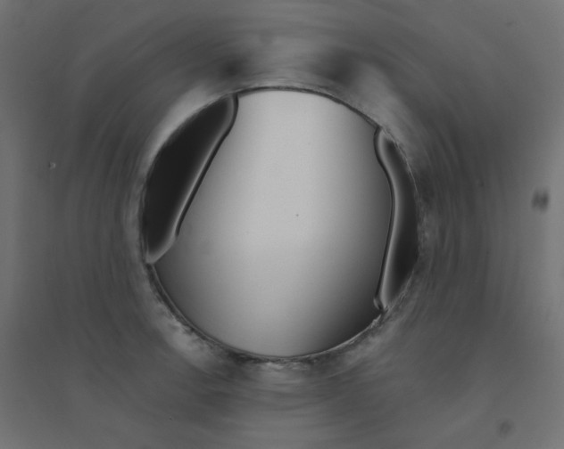 X0000094461138200711211535
