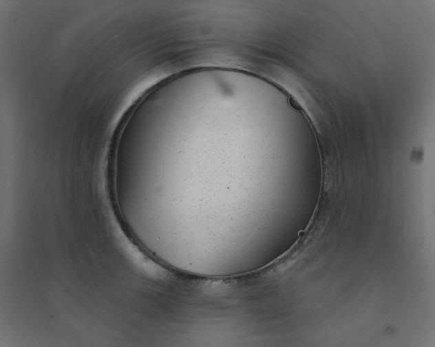 X0000094461139200711211535