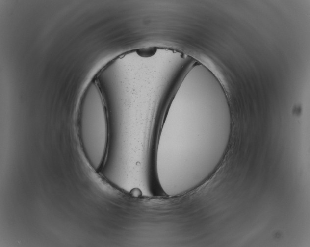 X0000094461140200711211535