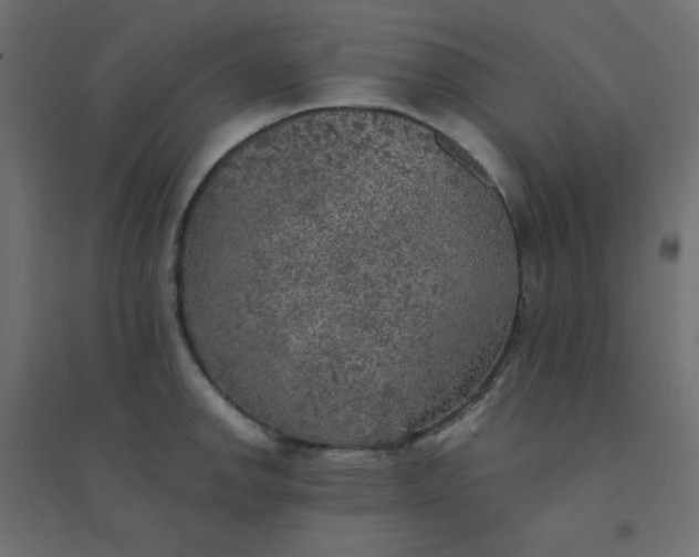 X0000094461142200711211535