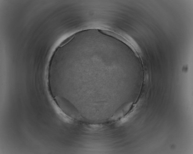 X0000094461144200711211535