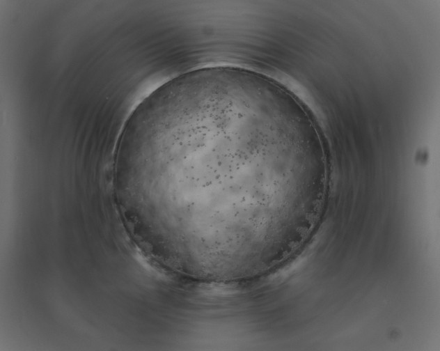X0000094461145200711211535