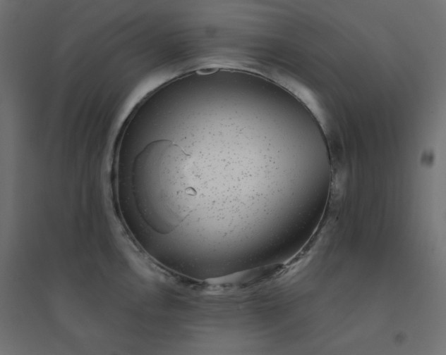 X0000094461146200711211535