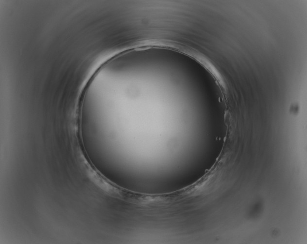 X0000094461148200711211535