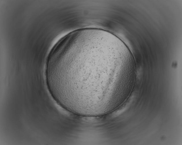 X0000094461149200711211535