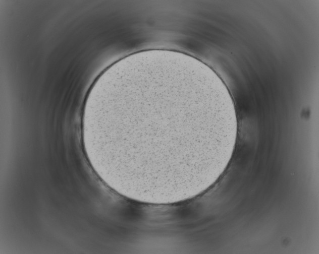 X0000094461150200711211535