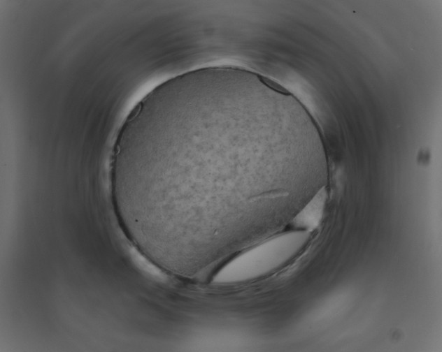 X0000094461151200711211535