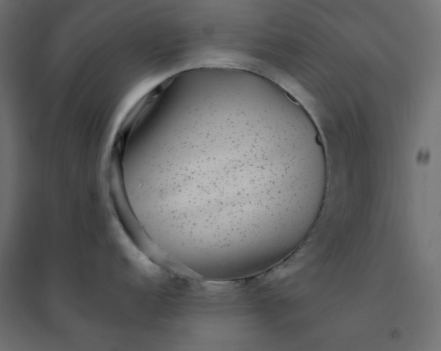X0000094461152200711211535
