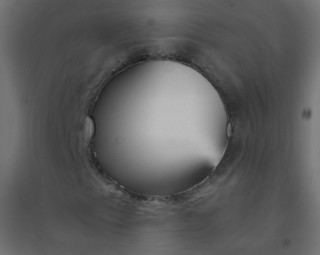 X0000094461153200711211534