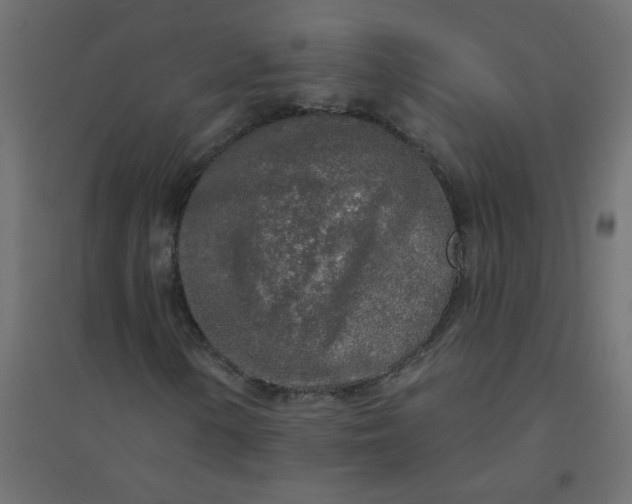 X0000094461154200711211534