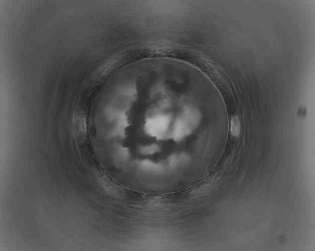 X0000094461155200711211534