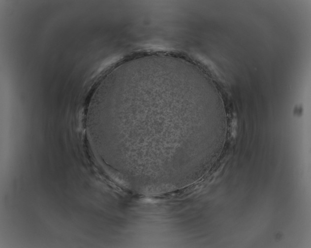 X0000094461157200711211534