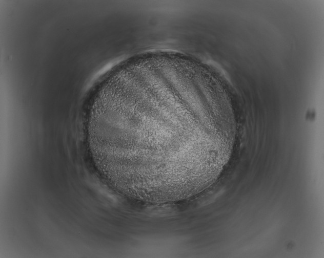 X0000094461159200711211534