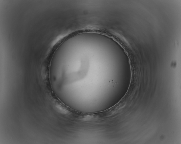 X0000094461160200711211534
