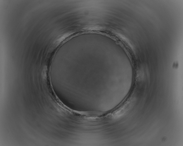 X0000094461161200711211534