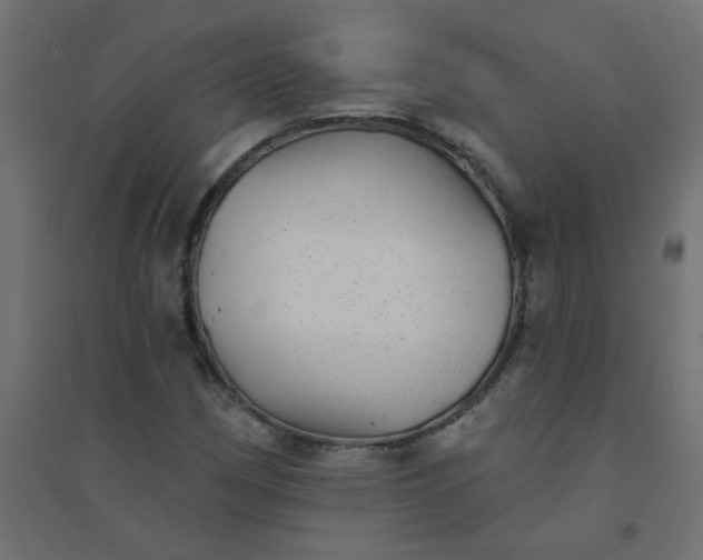 X0000094461162200711211534