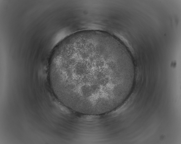 X0000094461163200711211534
