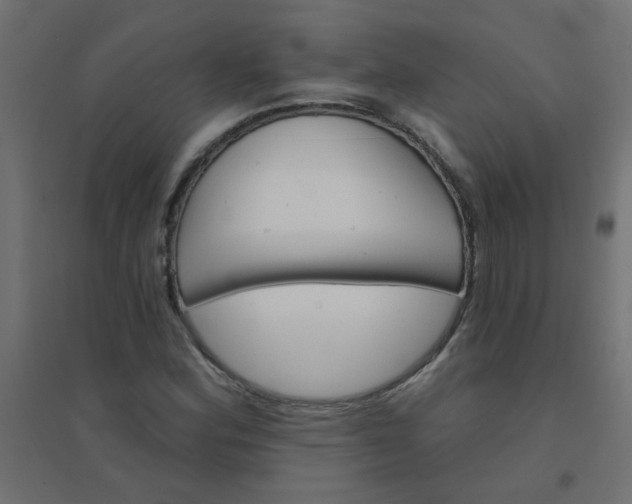 X0000094461164200711211534