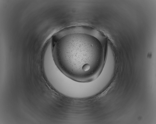 X0000094461165200711211534