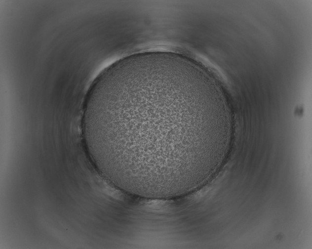 X0000094461166200711211534
