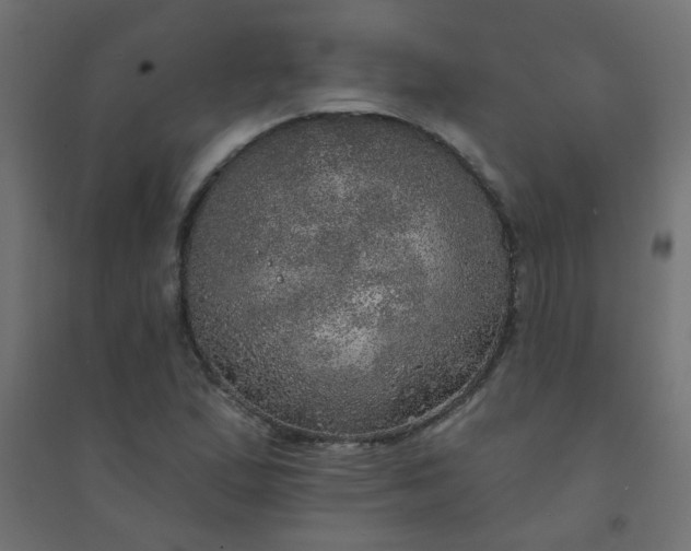 X0000094461167200711211534