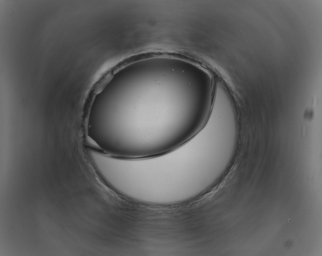 X0000094461168200711211534