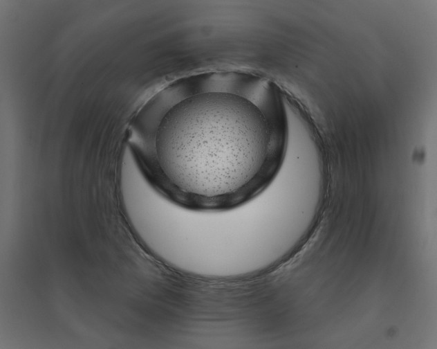 X0000094461169200711211534