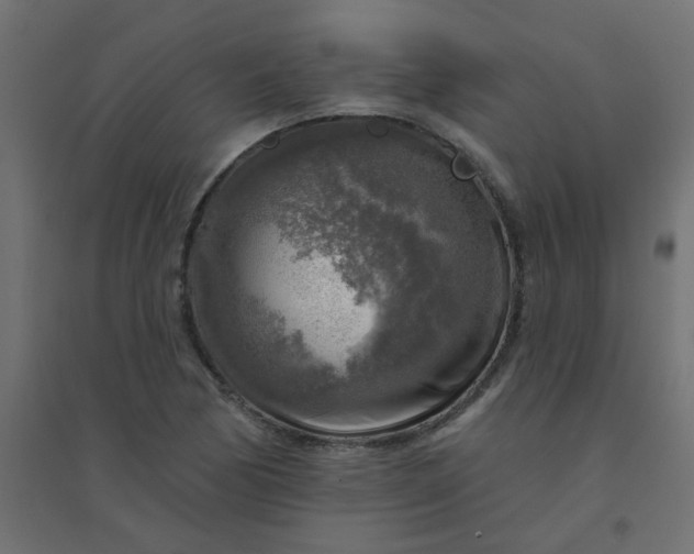 X0000094461170200711211534
