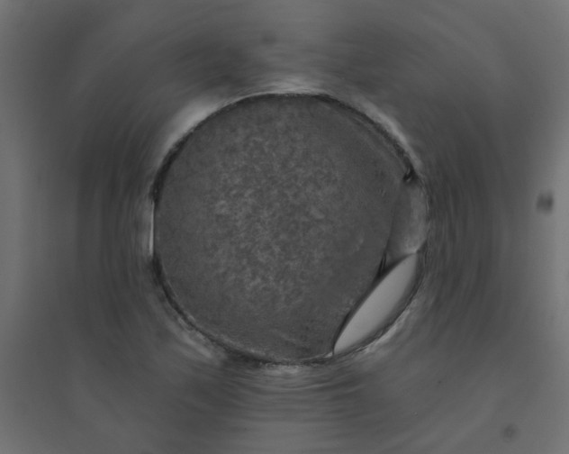 X0000094461171200711211534