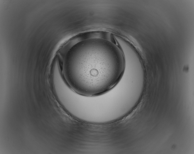 X0000094461172200711211534