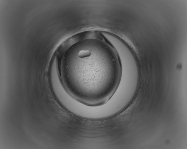 X0000094461173200711211534