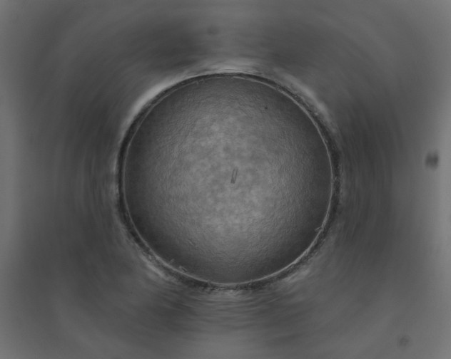 X0000094461174200711211534