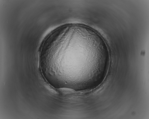 X0000094461175200711211534