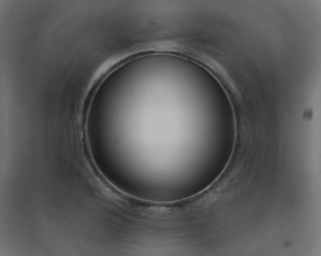 X0000094461176200711211534