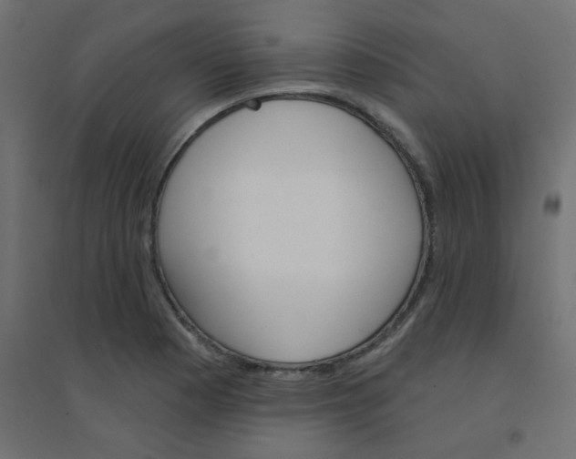 X0000094461177200711211534