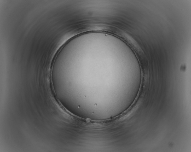 X0000094461178200711211534