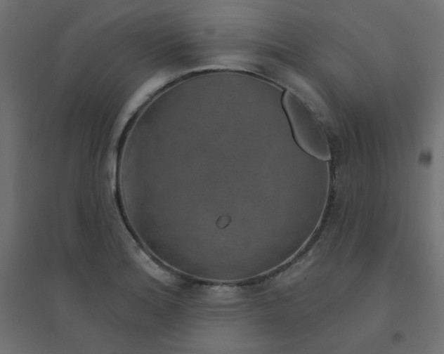 X0000094461180200711211534