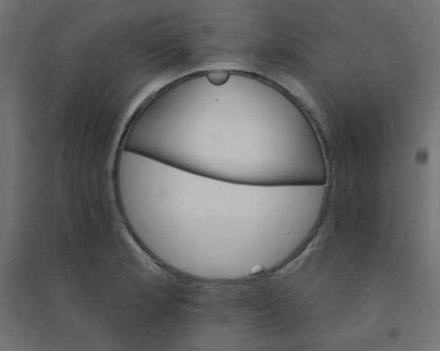 X0000094461181200711211534