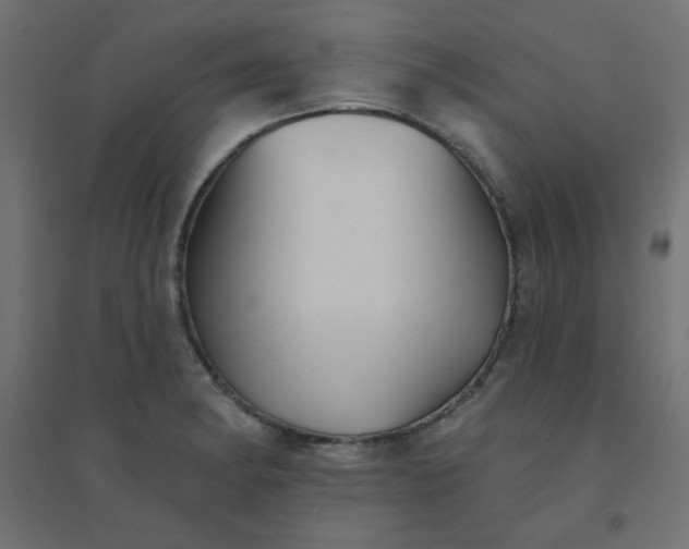 X0000094461182200711211534