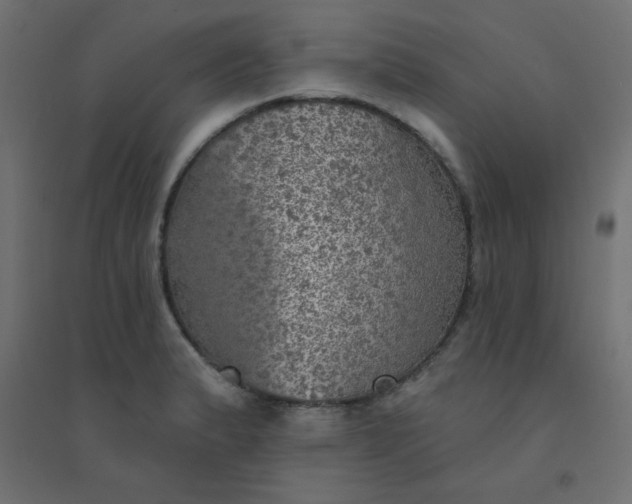 X0000094461183200711211534