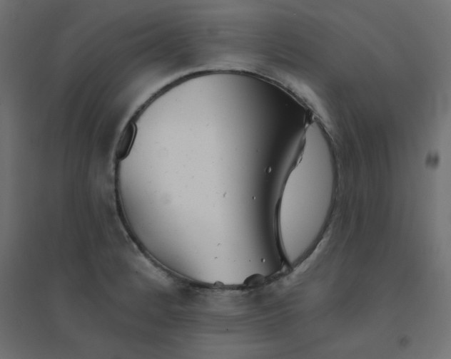 X0000094461184200711211534