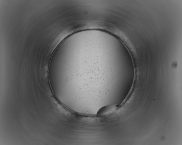 X0000094461185200711211534