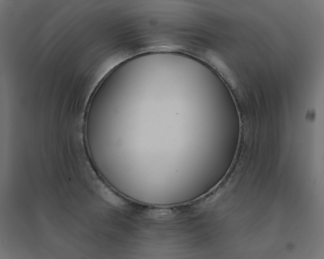 X0000094461186200711211534