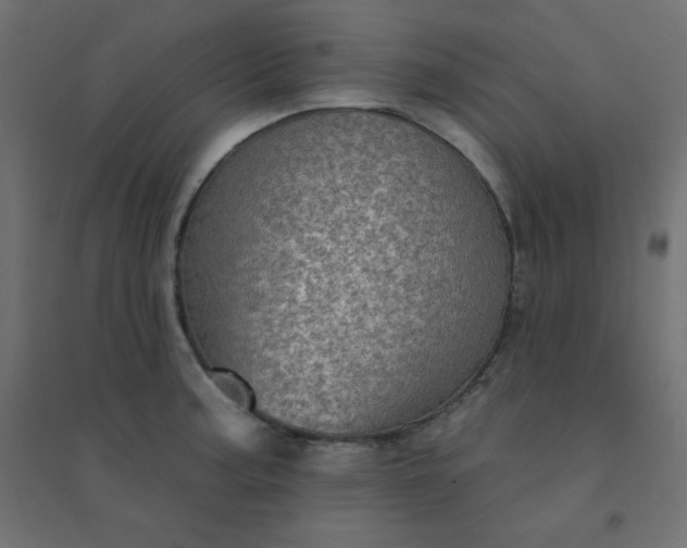 X0000094461187200711211534