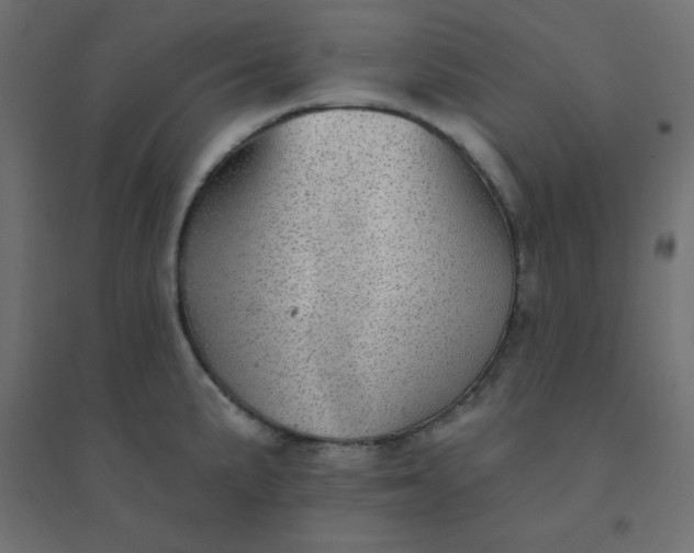 X0000094461191200711211534