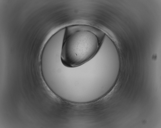 X0000094461192200711211534