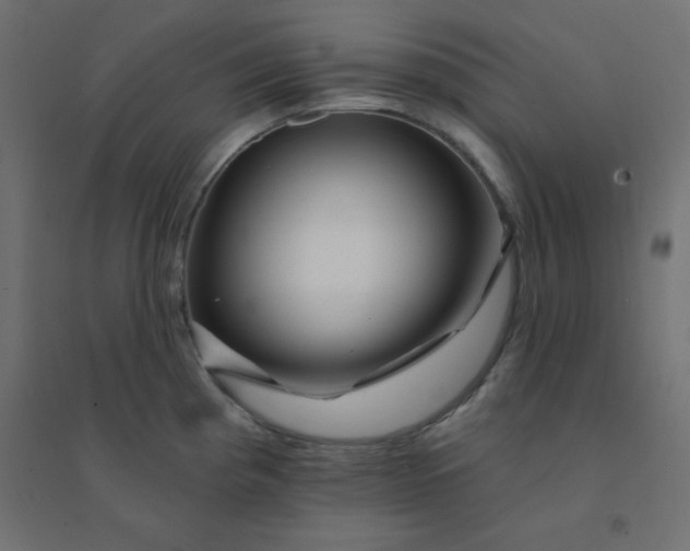 X0000094461193200711211534
