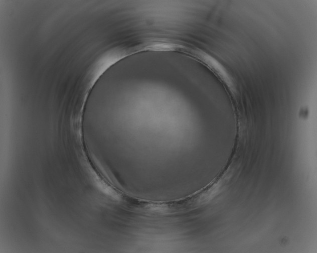 X0000094461194200711211534