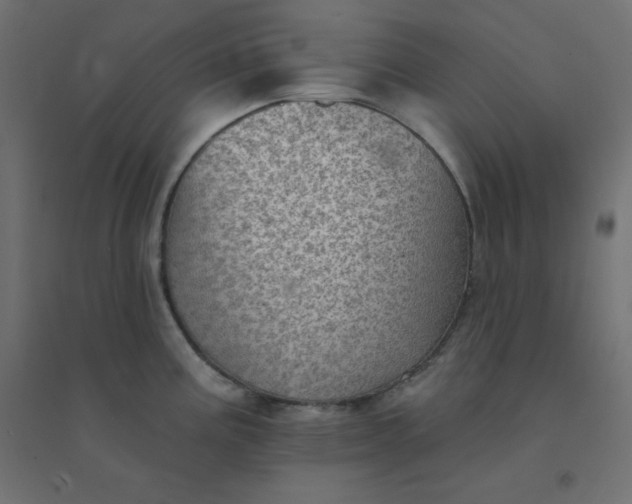 X0000094461195200711211534