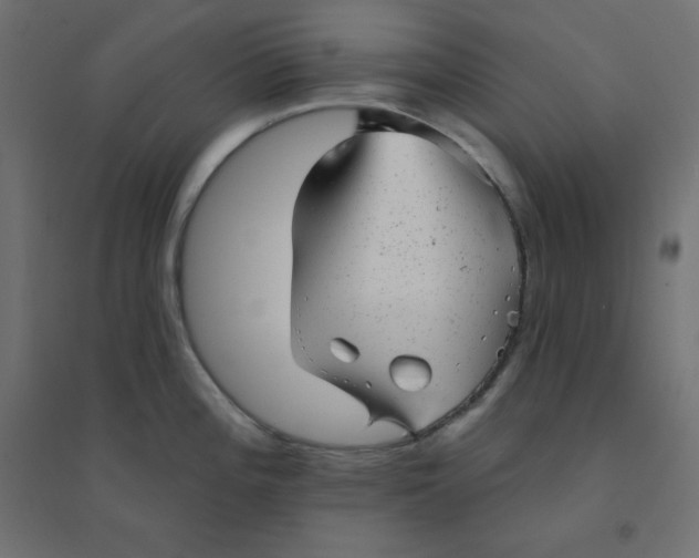 X0000094461196200711211534